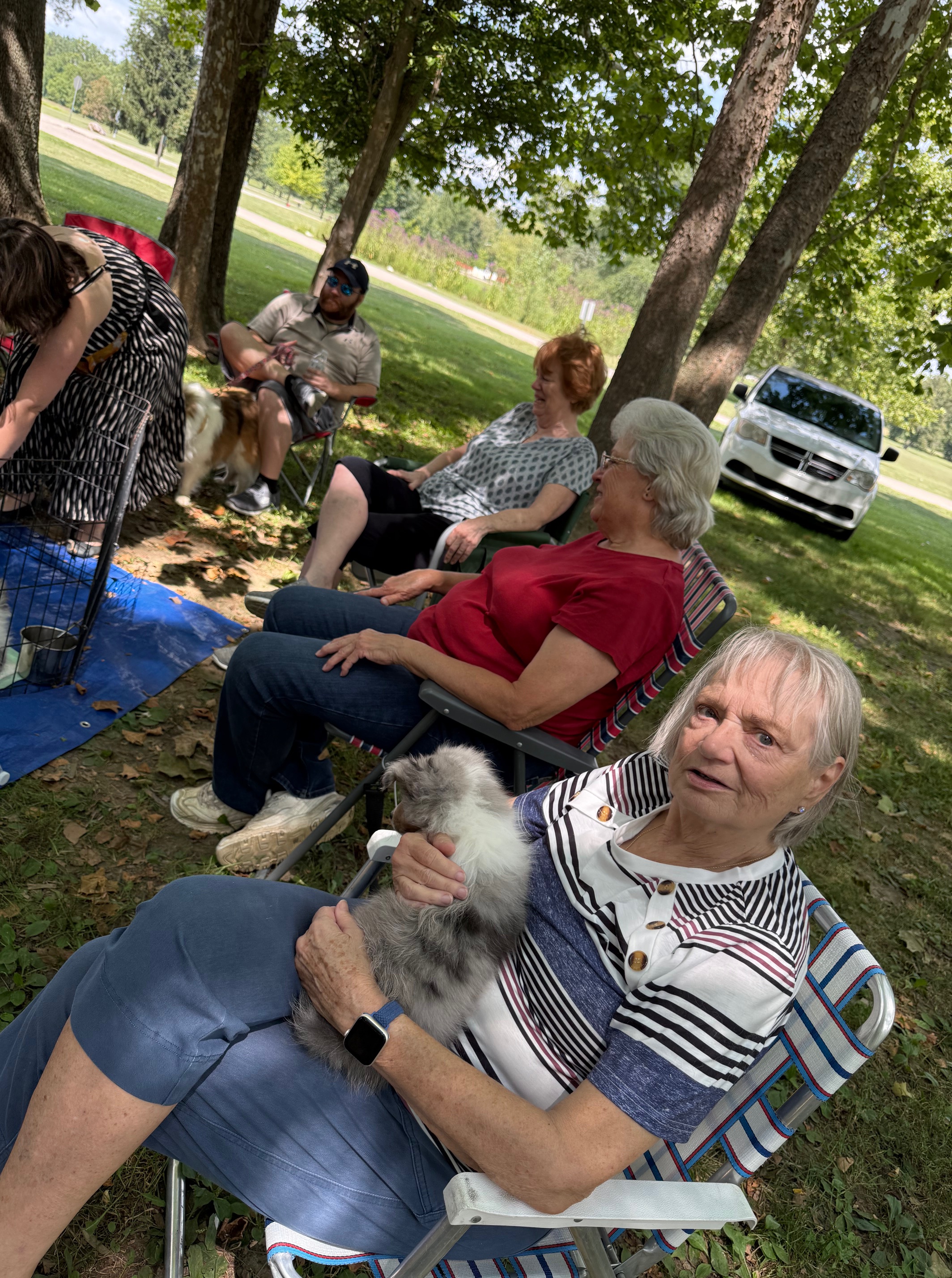Miami Valley Shetland Sheepdog Club